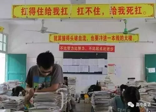 毛坦厂中学复读班开学盛况 热议中的“高考工厂”与偏远农村教育路径探索