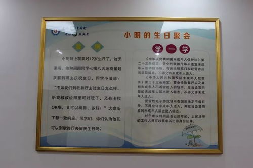 大通县青少年法治教育基地 普法宣传与教育服务融合的亮点